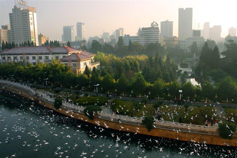 母親河盤龍江 http://www.zyswsm.com/ 母親河盤龍江 http://www.zyswsm.com/