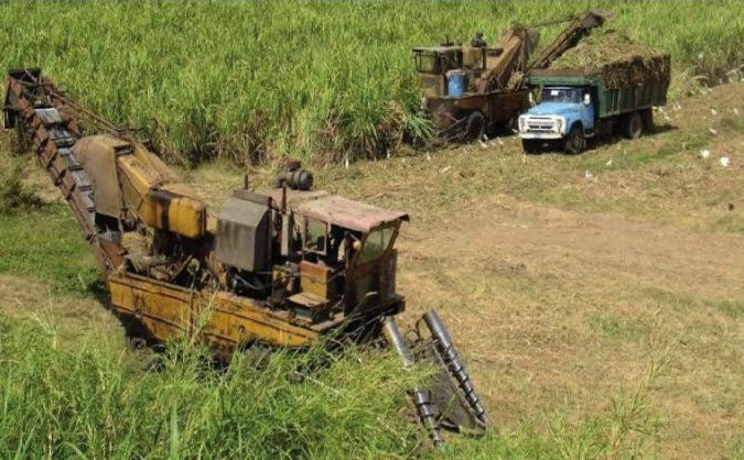 蔗糖收割 蔗糖收割