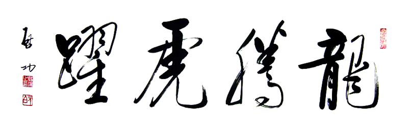 啟功書法:龍騰虎躍 啟功書法:龍騰虎躍