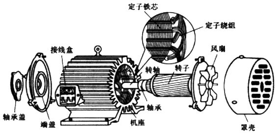 三相異步電動機的結構 三相異步電動機的結構