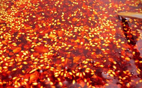 油辣椒調味料 油辣椒調味料