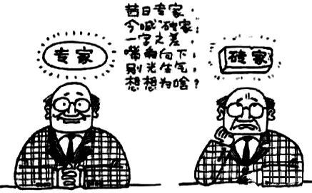 專家和磚家 專家和磚家