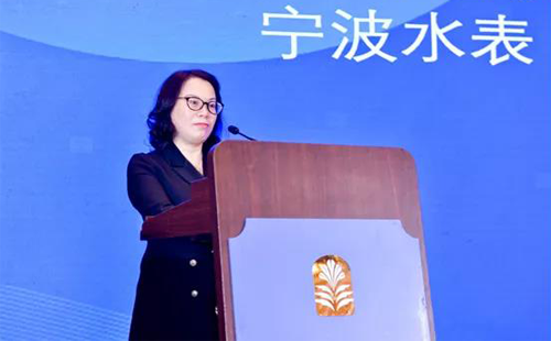 中國儀器儀表行業(yè)協(xié)會副理事長、寧波水表(集團(tuán))股份有限公司董事長 張琳 中國儀器儀表行業(yè)協(xié)會副理事長、寧波水表(集團(tuán))股份有限公司董事長 張琳