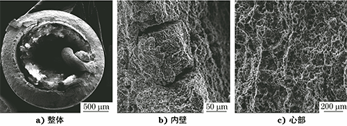 斷裂鎧裝熱電偶保護管的微觀形貌 斷裂鎧裝熱電偶保護管的微觀形貌