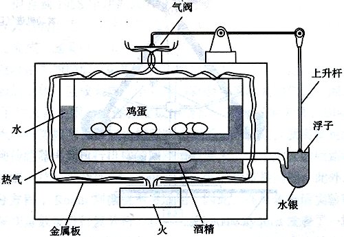 培育箱溫度控制裝置示意圖 培育箱溫度控制裝置示意圖